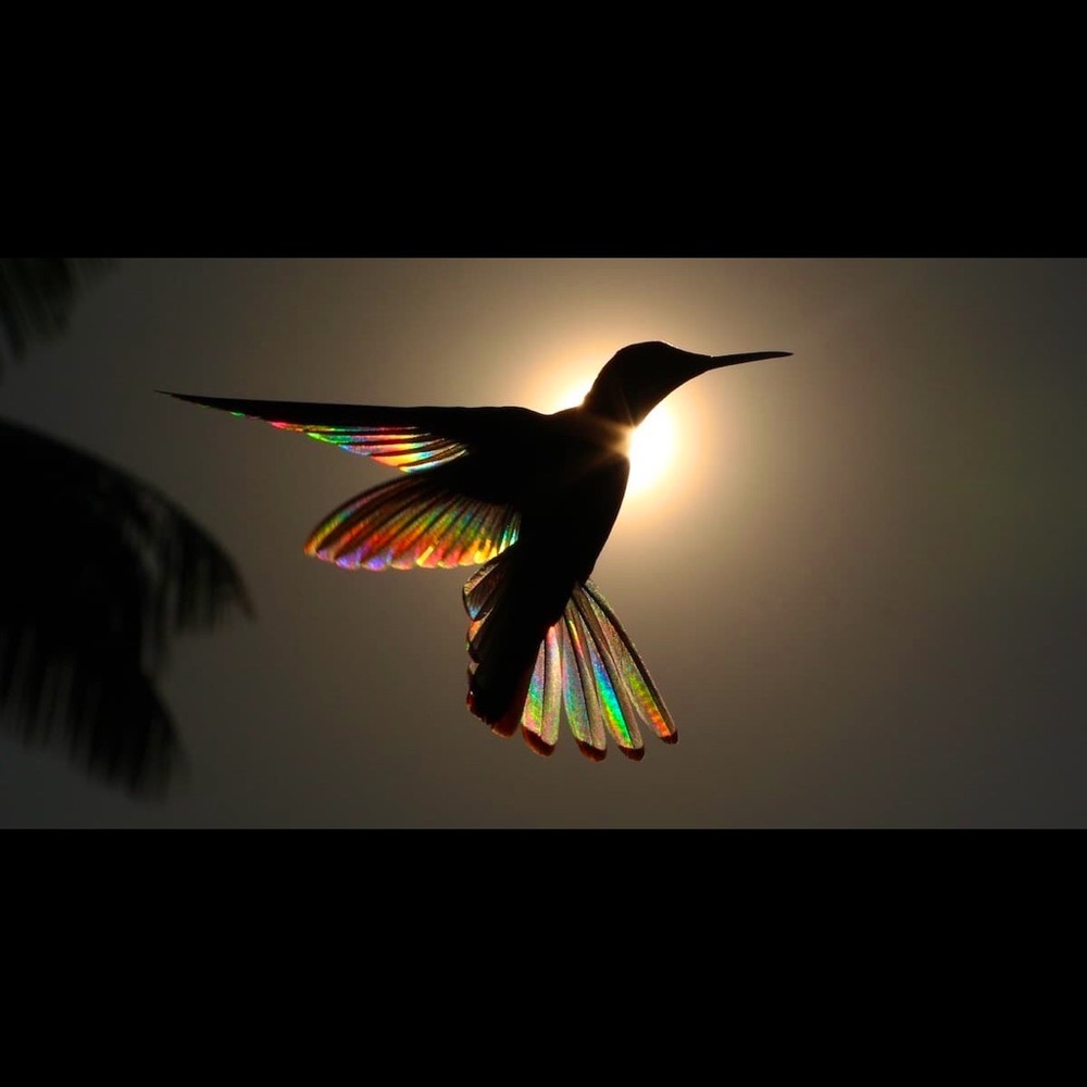 Trade: do not buy @zagranis79